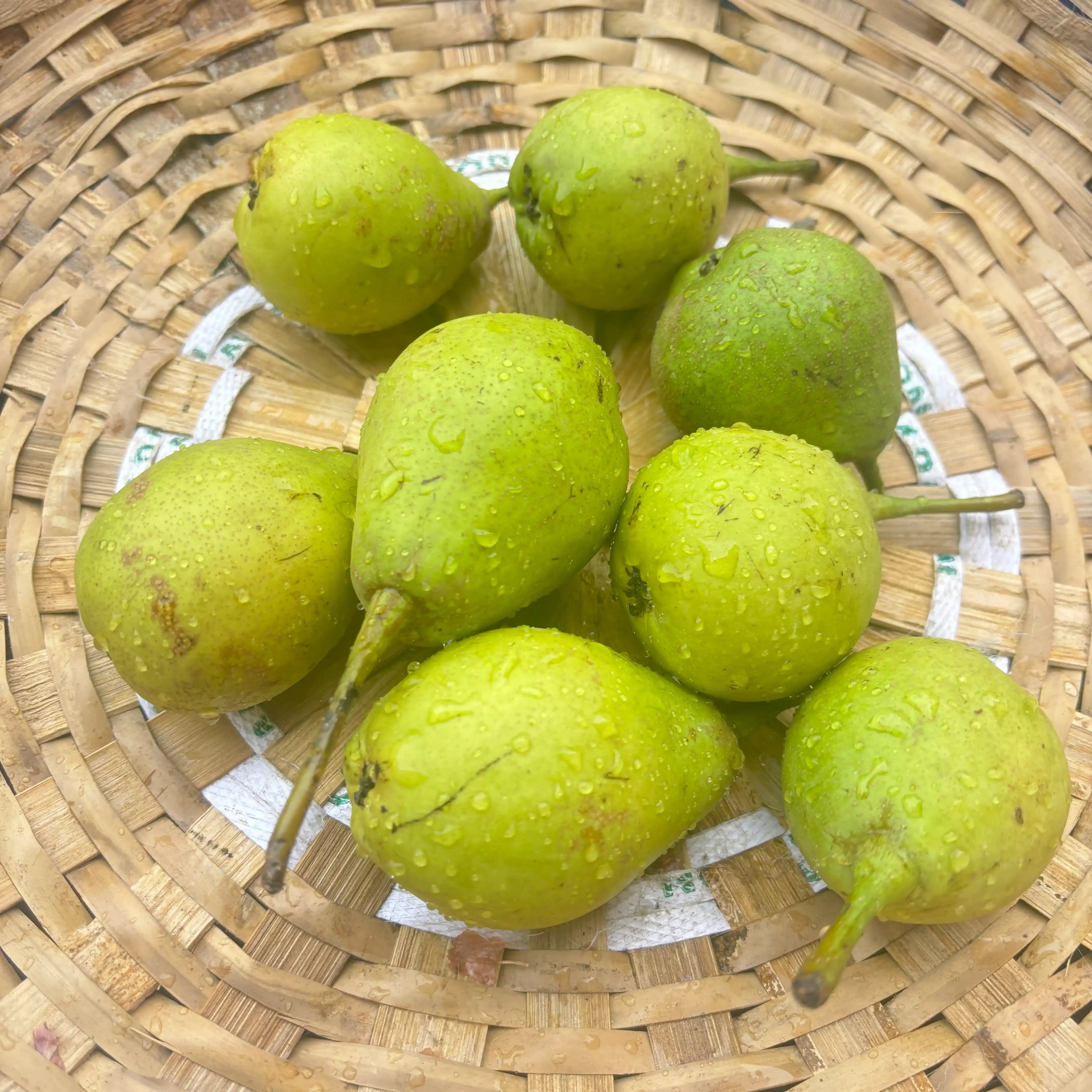 Pears