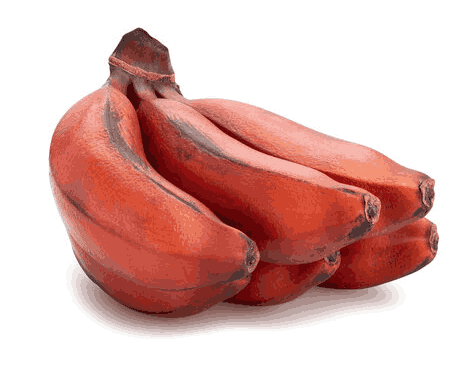 Organic Red Banana sourced from Theni Farmers.