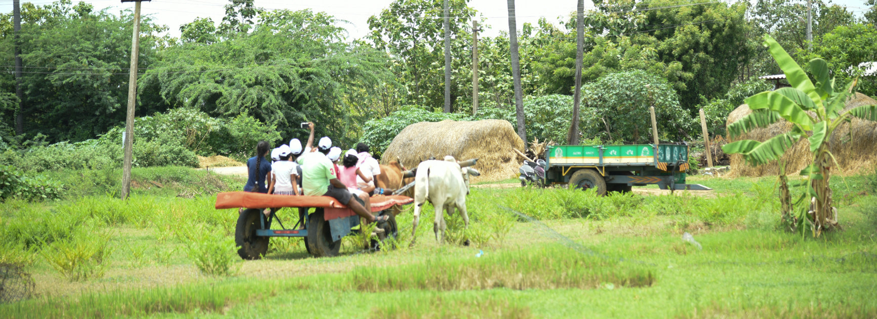 myHarvest Farms