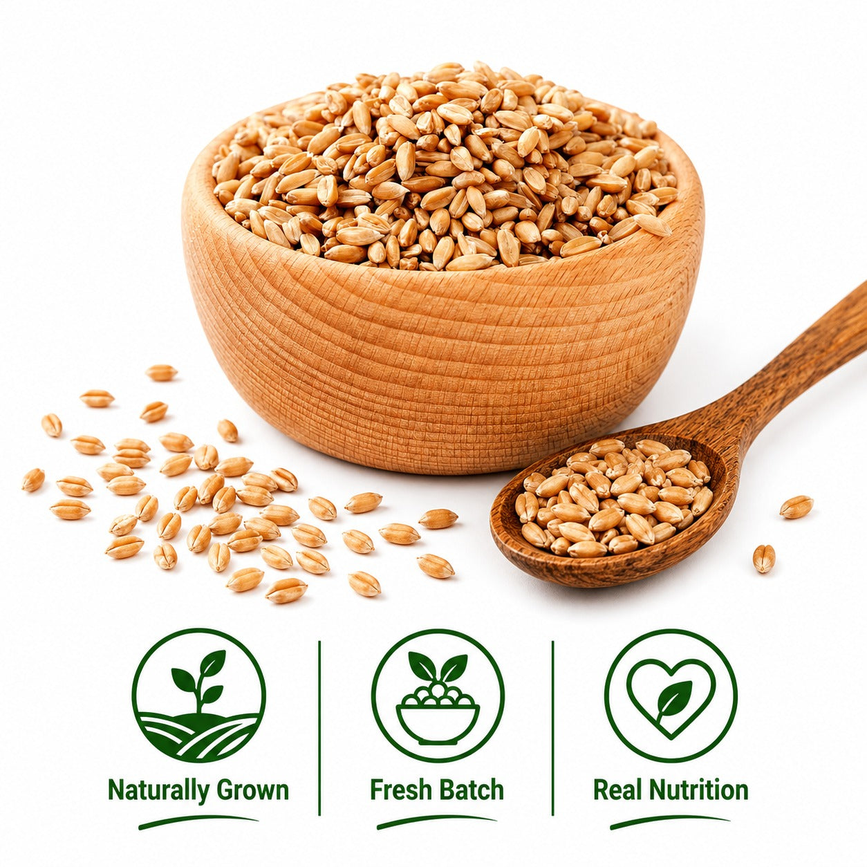 Whole Wheat
